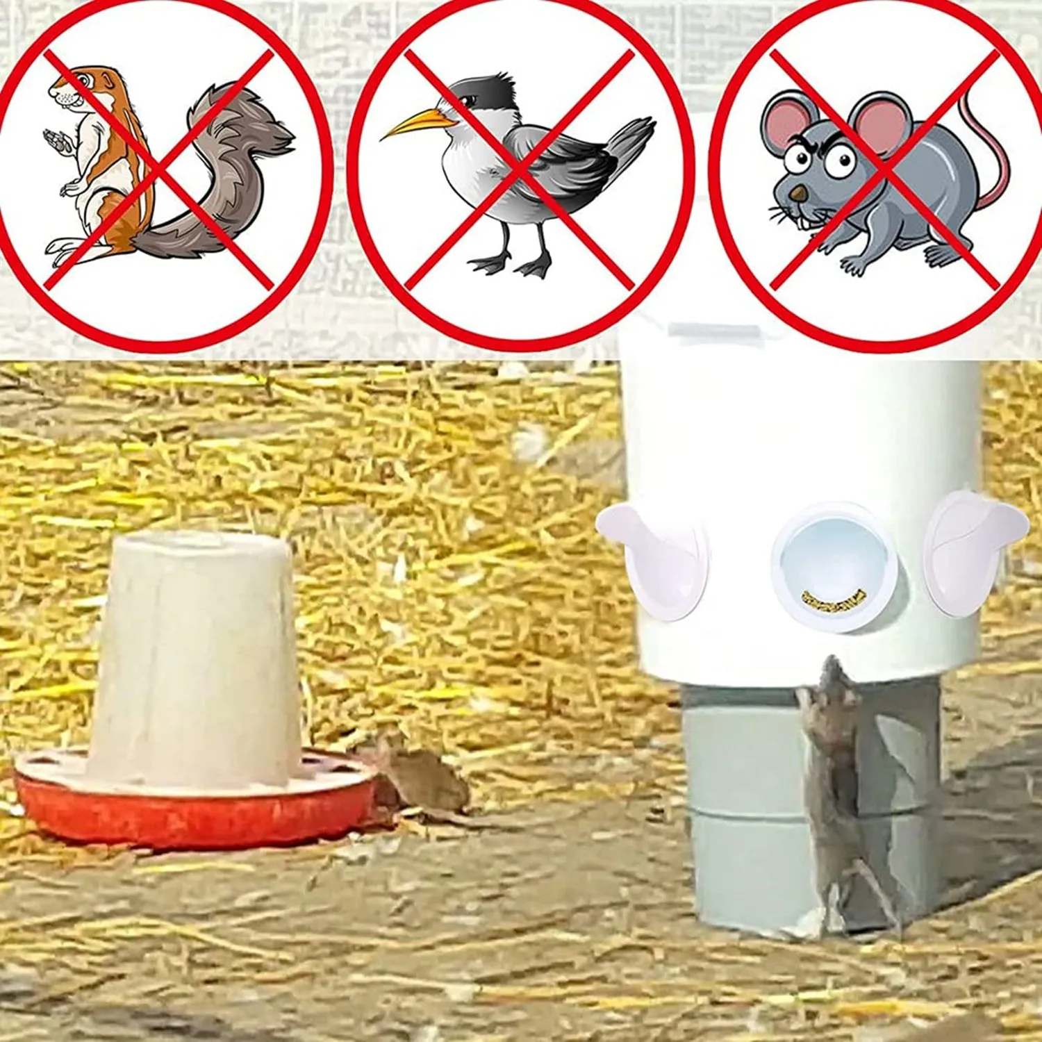 6 Port Chicken Feeder | Poultry Feeder DIY Port | PVC Gravity Fed Chicken Feeder