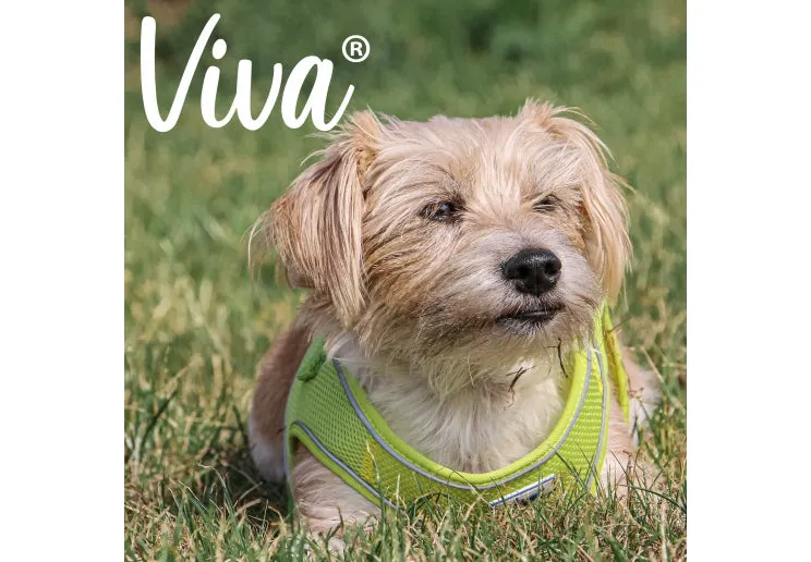 Ancol - Viva Step-in Harness - Red - Large