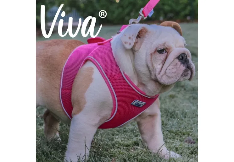 Ancol - Viva Step-in Harness - Red - Large