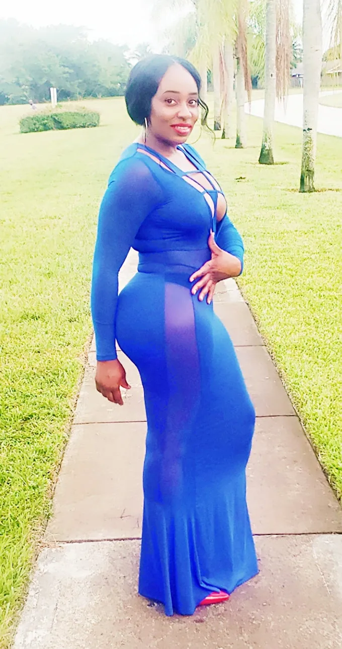 Viola Sheer Mesh Maxi Dress